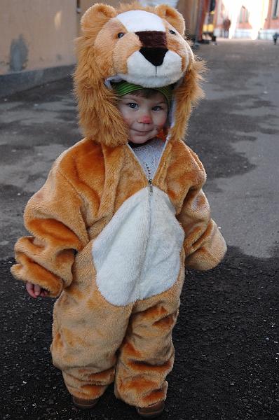 49-diciotto mesi.jpg